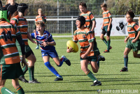 RC Waterland - Rotterdamse RC (Cubs Bowl Poule A, 1e fase)