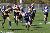 Junioren Shield poule C - 3e fase: CL RCW/Zaandijk - LRC DIOK