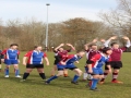 rugby-schagen-7-maart-2015-020_1