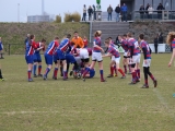 rugby-14-maart-2015-cubs-031