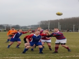 rugby-14-maart-2015-cubs-070