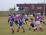 rugby-14-maart-2015-cubs-073