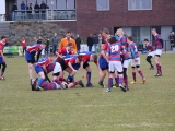 rugby-14-maart-2015-cubs-078