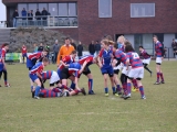 rugby-14-maart-2015-cubs-079