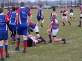 rugby-14-maart-2015-cubs-087